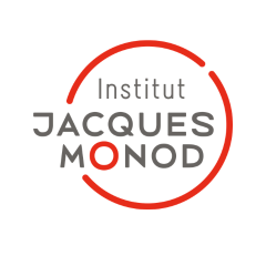 IJM LOGO